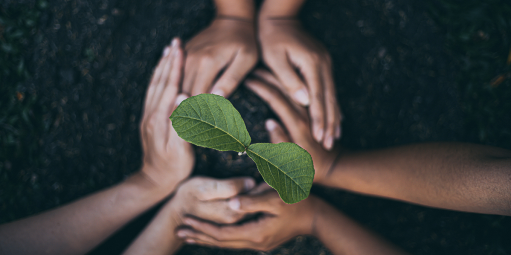 Geleceğe Yeşil Bir Dokunuş<br>Çanakkale’de Fidan Dikim Etkinliği