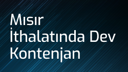 Mısır İthalatında Dev Kontenjan: %5 Vergi Avantajı Başladı